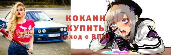 mdpv Вяземский