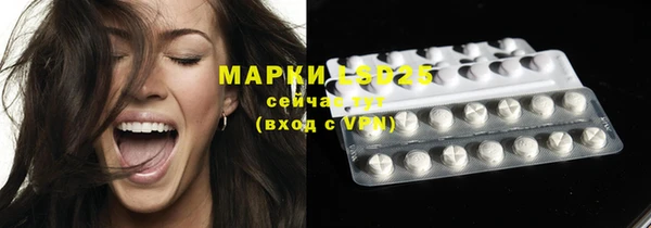 mdpv Вяземский