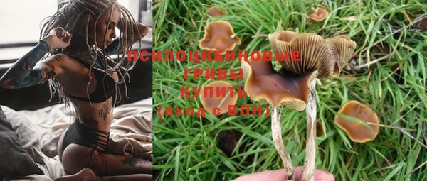 дмт Вязьма