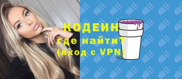 mdpv Вяземский