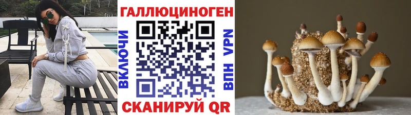 Галлюциногенные грибы GOLDEN TEACHER  маркетплейс официальный сайт  Камышин  где купить наркоту 